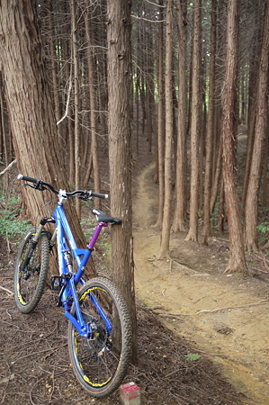 Trail Ride