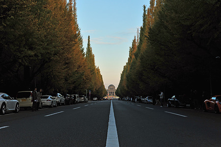 早朝撮影会＠外苑 2010/11-4