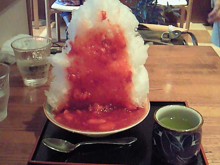 念願の生いちごを食べてきたよ〜!甘過ぎなくて美味しかった♪
