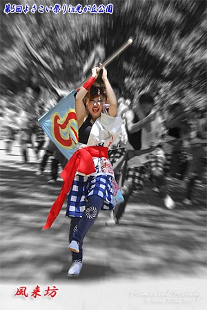 風来坊_20 - よさこい祭りin光が丘公園2011