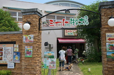 DSC06145