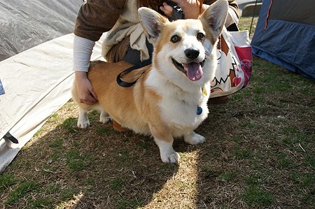 DSC08405