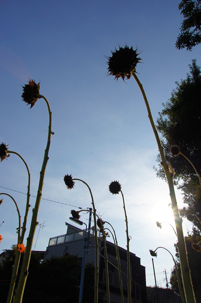 Photos: DSC00404