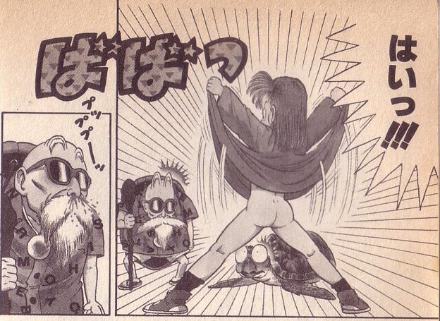 亀仙人とブルマ 写真共有サイト「フォト蔵」