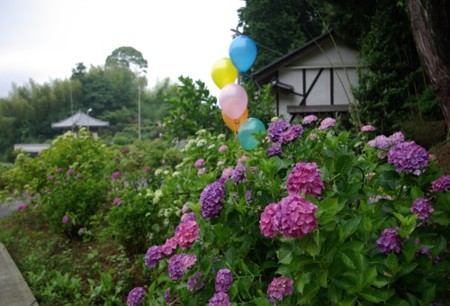 IMGP0038_0617