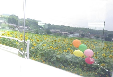 IMGP0170_0714
