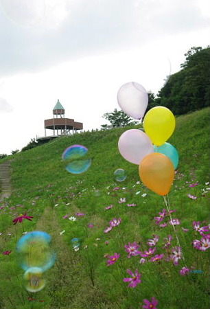IMGP1645_0816