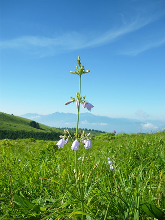 ０４．八ヶ岳を望む