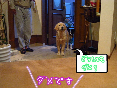 PIC00035