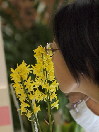 P2194035