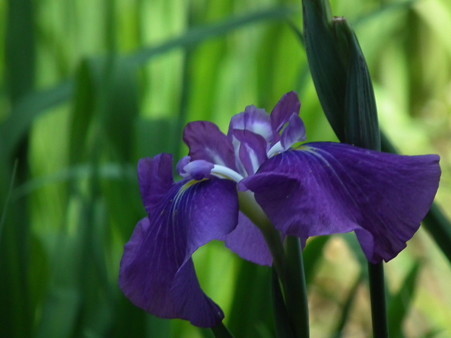 DSCF0056