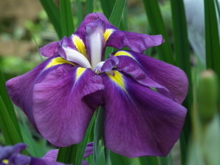 DSCF0063