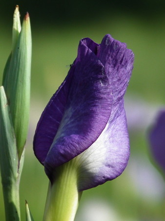 DSCF0302