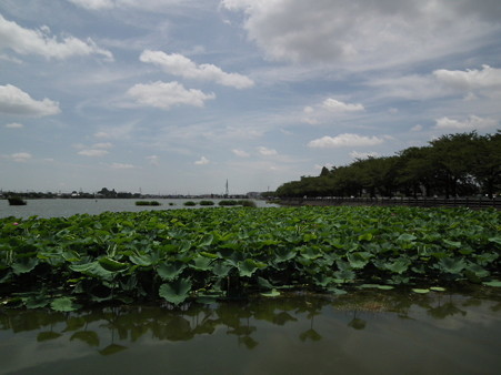 DSCF0055