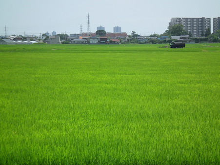 DSCF0365