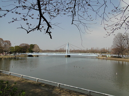 水元大橋