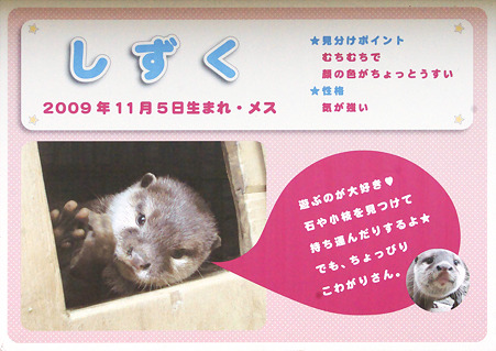 hirakata110917044
