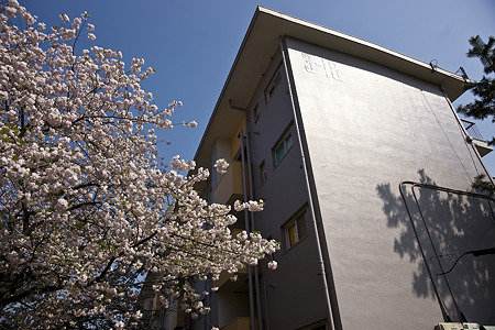 tokiwadai090411007