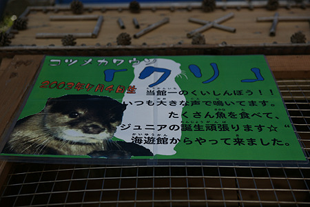 katurahama110311001