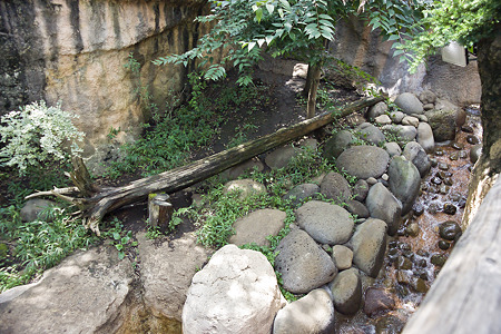 zoorasia110828401