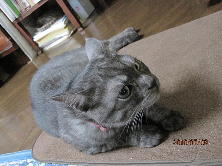 IMG_9935jl