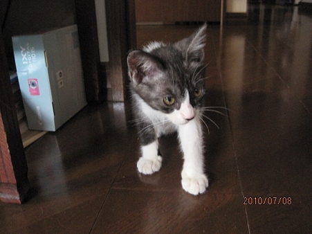 IMG_9766jl