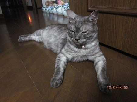 IMG_3061au