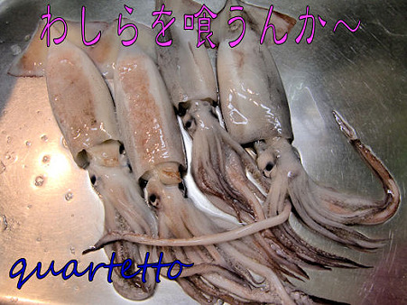 ぽんのすけさんからいただいた「わしらを喰うんか~」です(爆)なんかそんな感じでこっち見てる~!!!