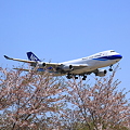 Narita International Airport NCA 747-400F