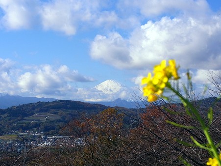 富士山