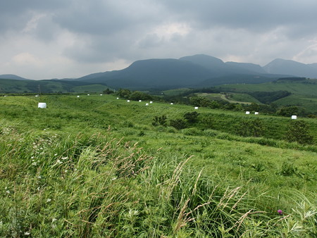 P6290404