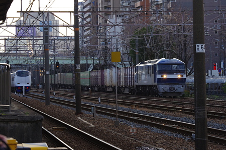 IMGP6821