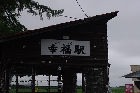 IMGP2446