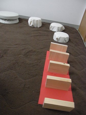 RIMG0685
