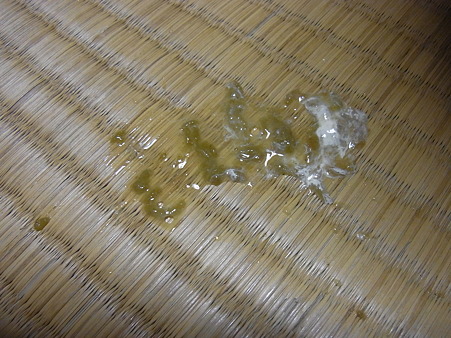 溜めフン