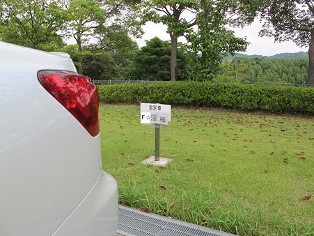 駐車場 名前付