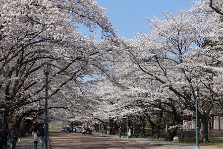 Img_0623