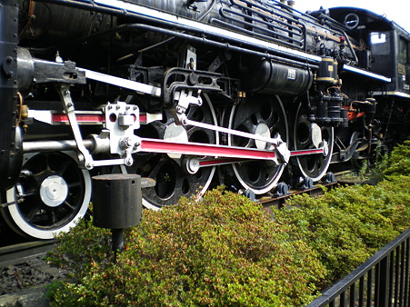 IMGP1669