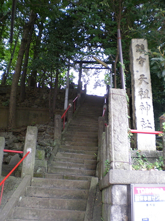 IMGP1897