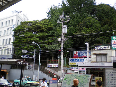 IMGP1913