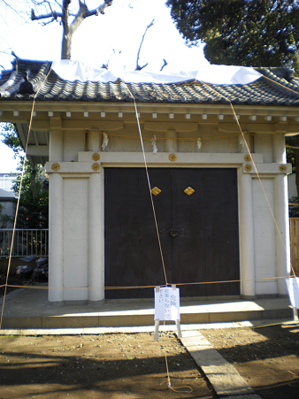 IMGP3968