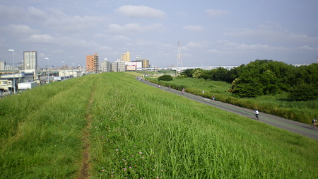 IMGP5451