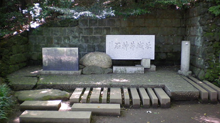 IMGP5586