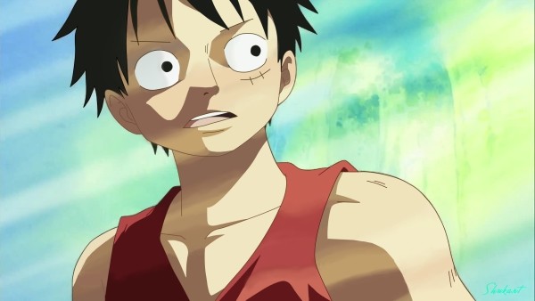 ワンピース Op14 Luffy 写真共有サイト フォト蔵