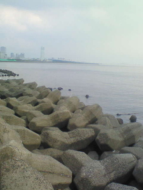 海浜幕張の海で魚が飛びまく 写真共有サイト フォト蔵