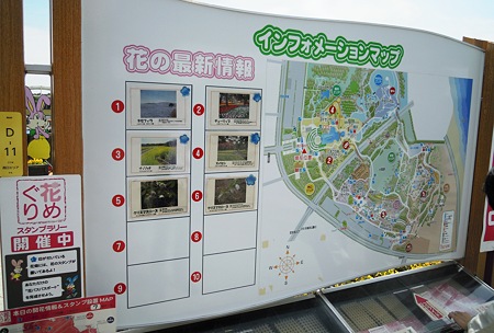 DSCN2785