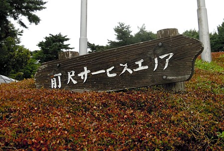 DSCN4299
