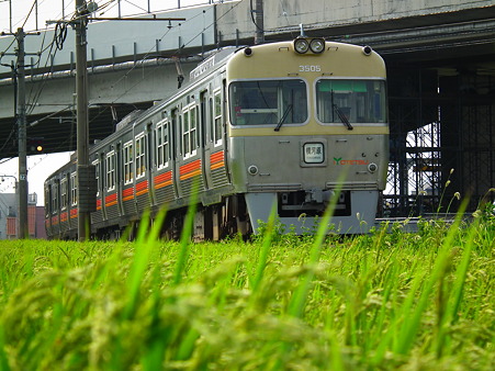 DSCF0524