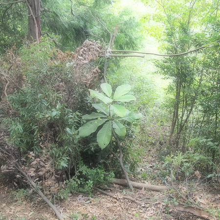 P9120704