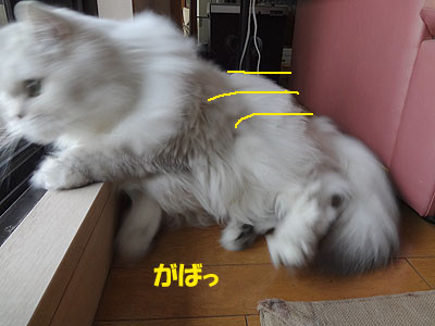 12071203